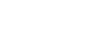 Feist IT Service Logo